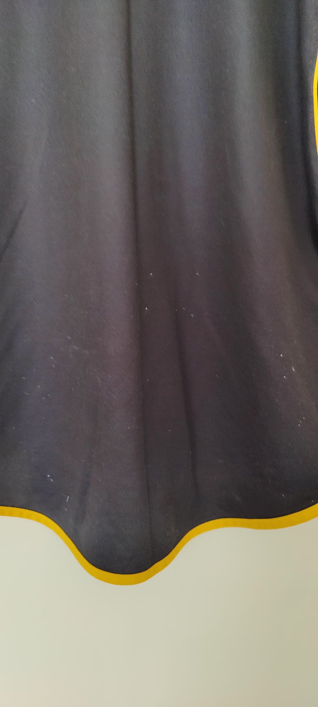 Maillot Stade Rennais 2001/2002 (centenaire)